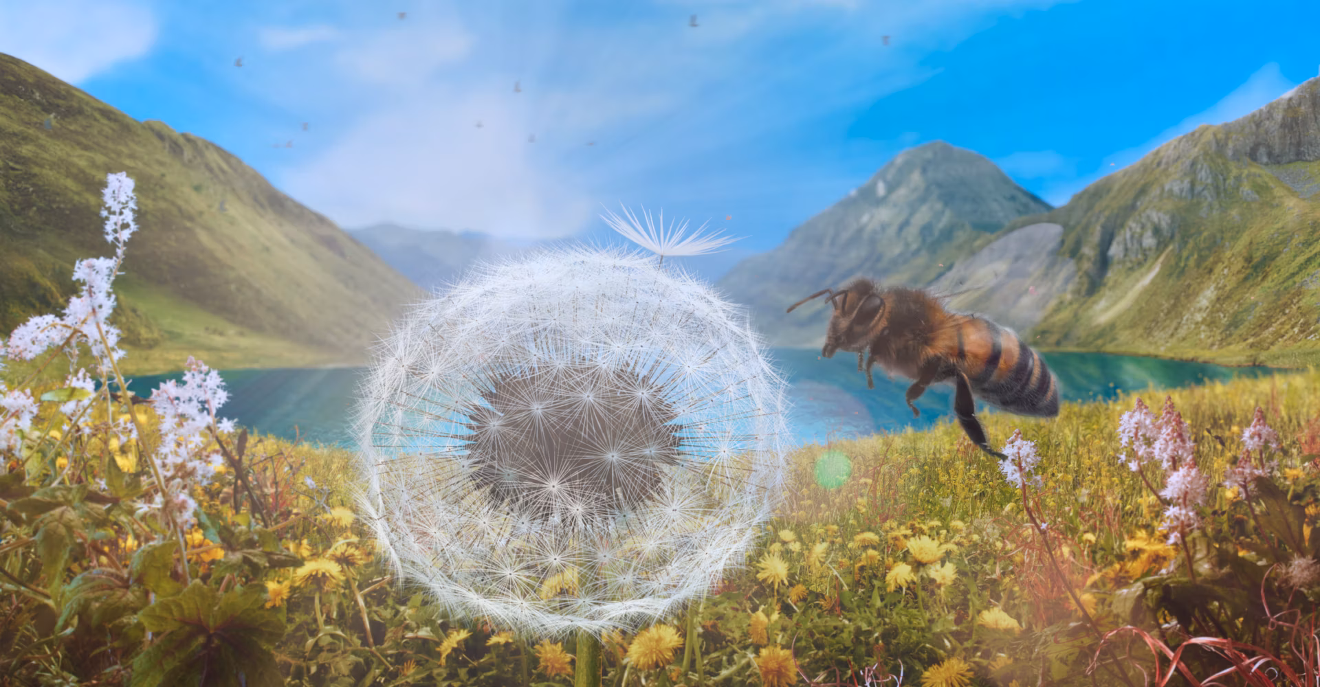 Paardenbloemencinema op de Plandel Party Dandelions Odyssey