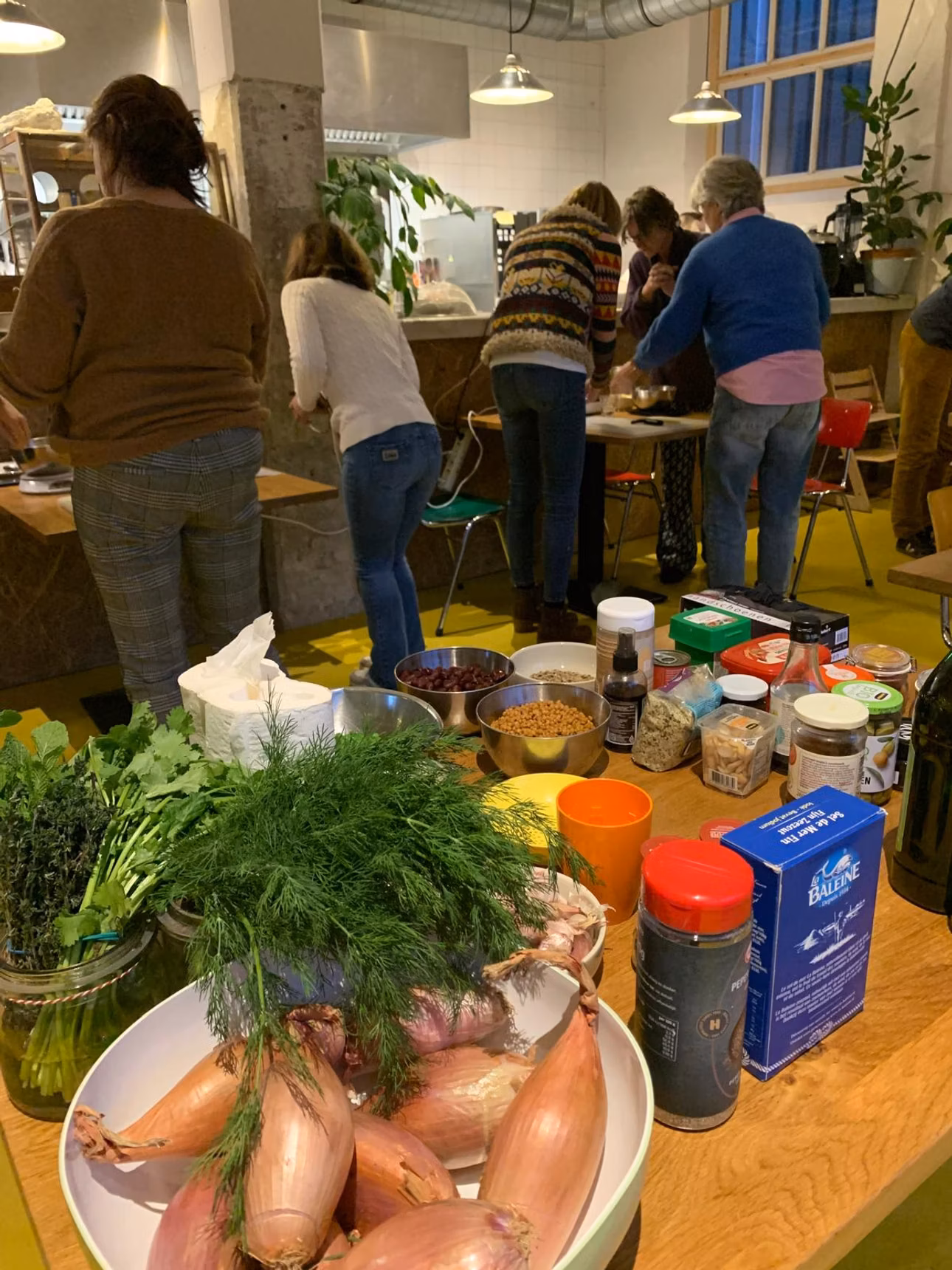 Artikel groningen 2