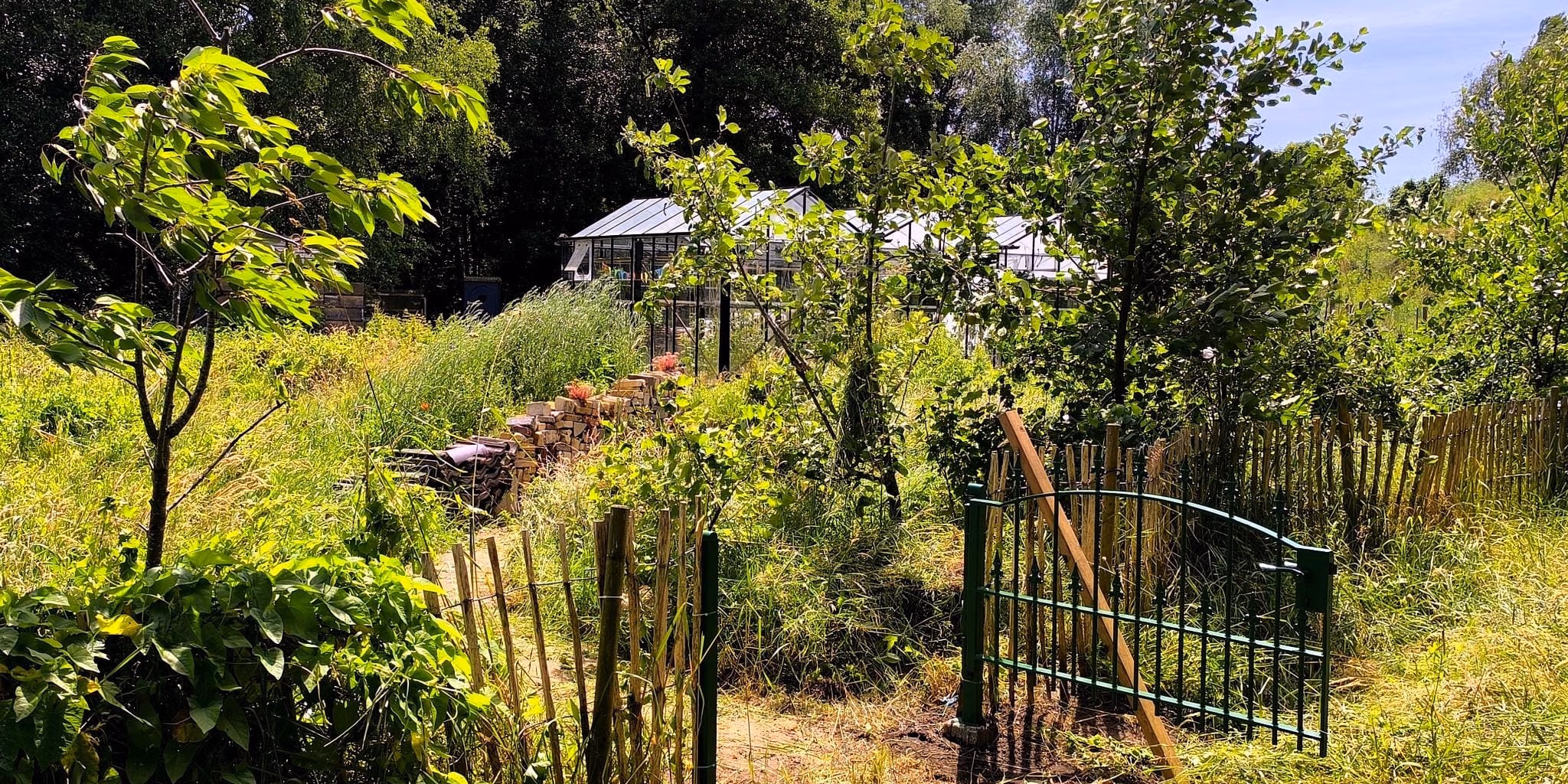 Rondleiding permacultuur moestuin Phood community farm