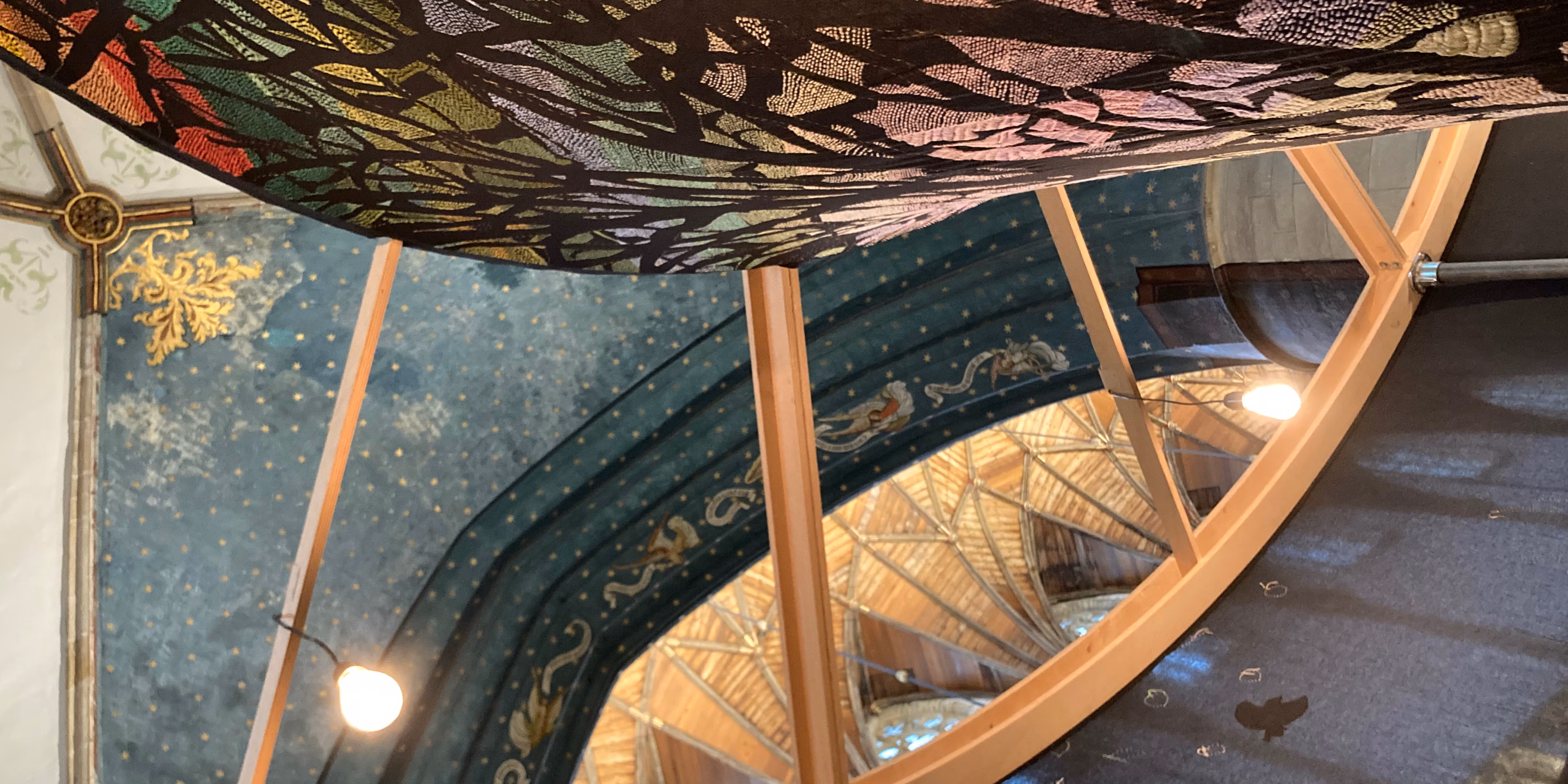 Honderdduizend bomen en een bos van draad