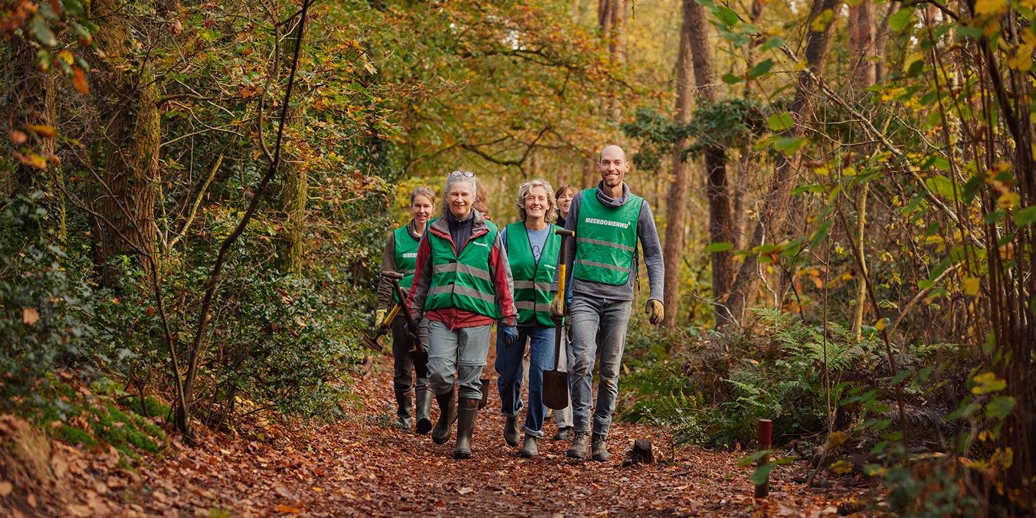 Zaailingen verplanten