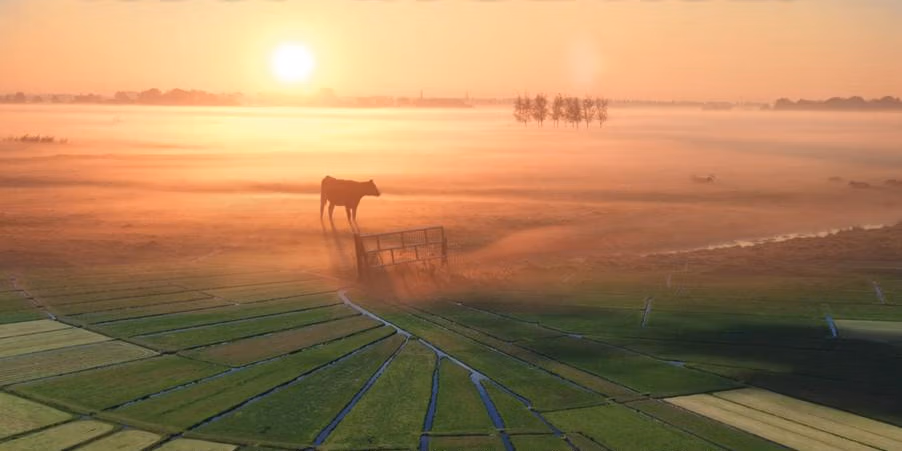 Hoop in de Hoep  Pim Giel