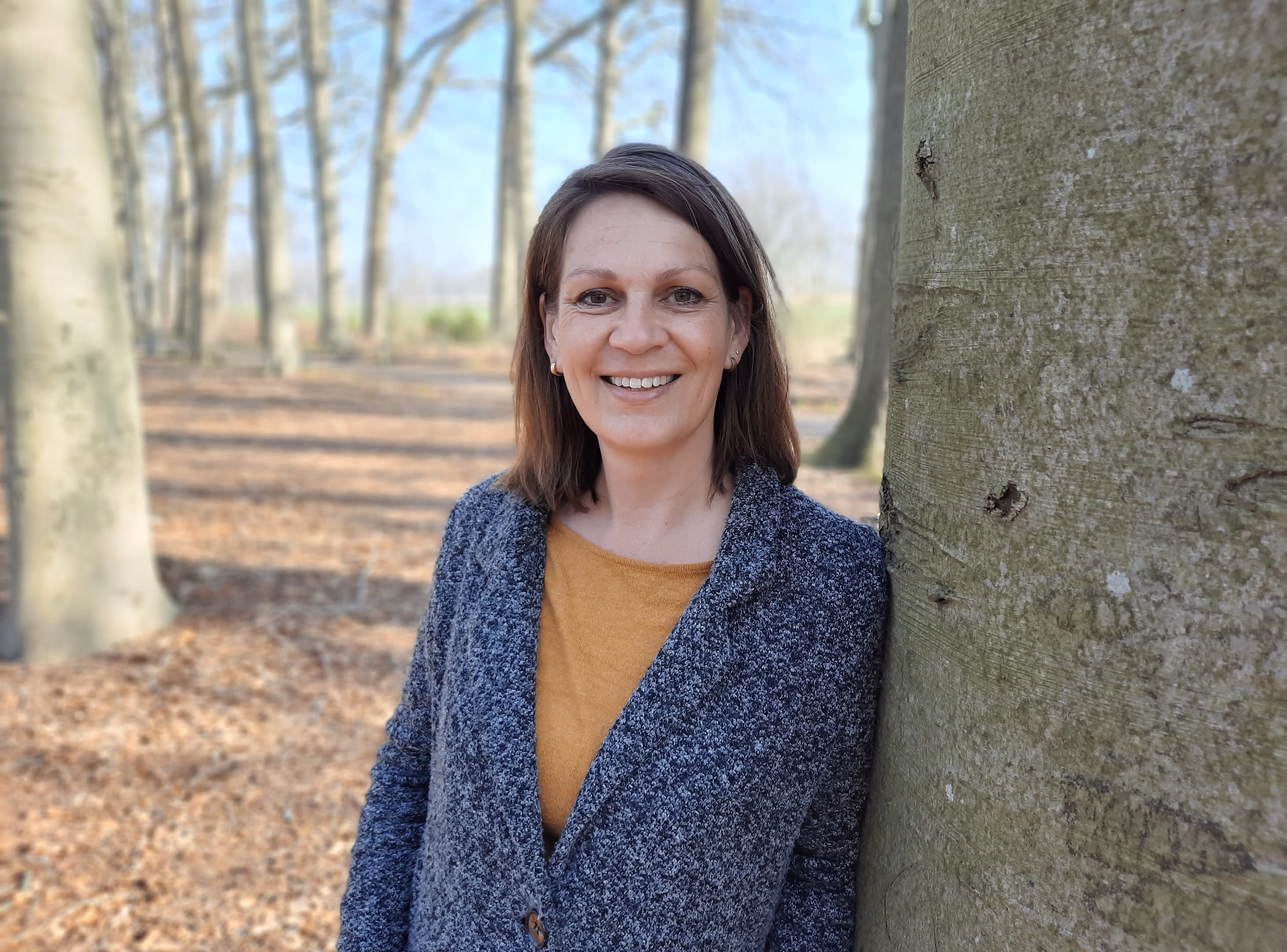 Gera - highlight artikel