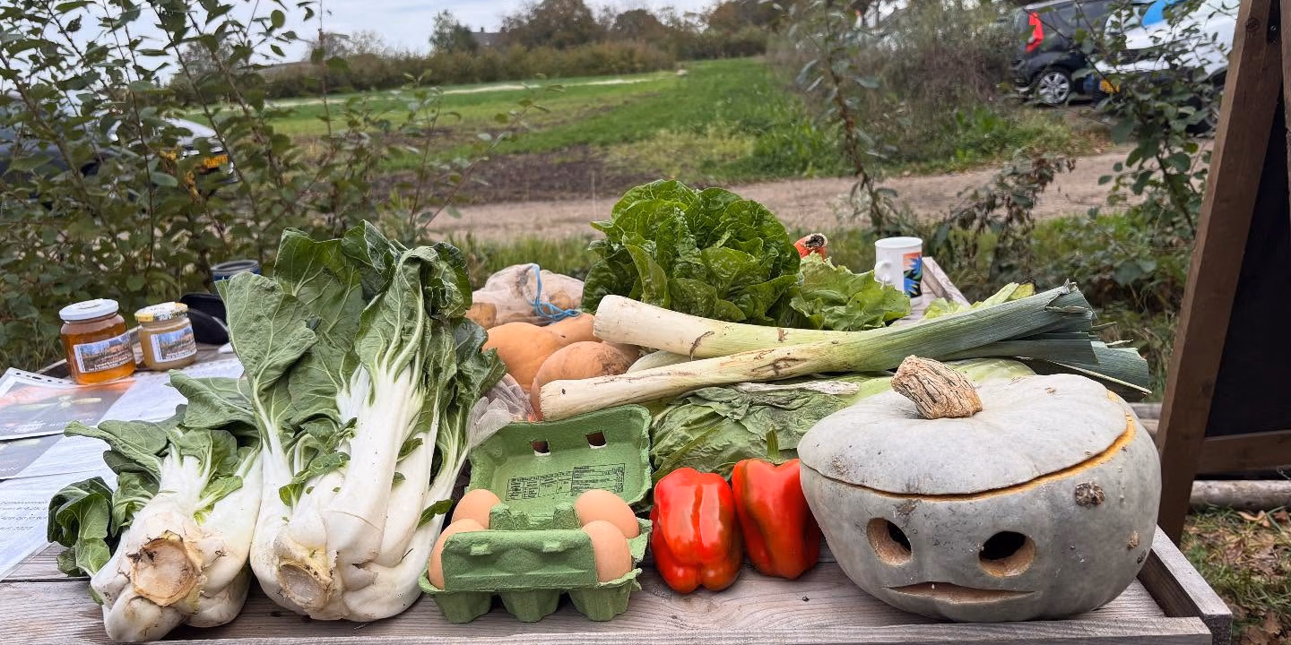 Rondleiding Herenboerderij op t Lies Klimaatweek
